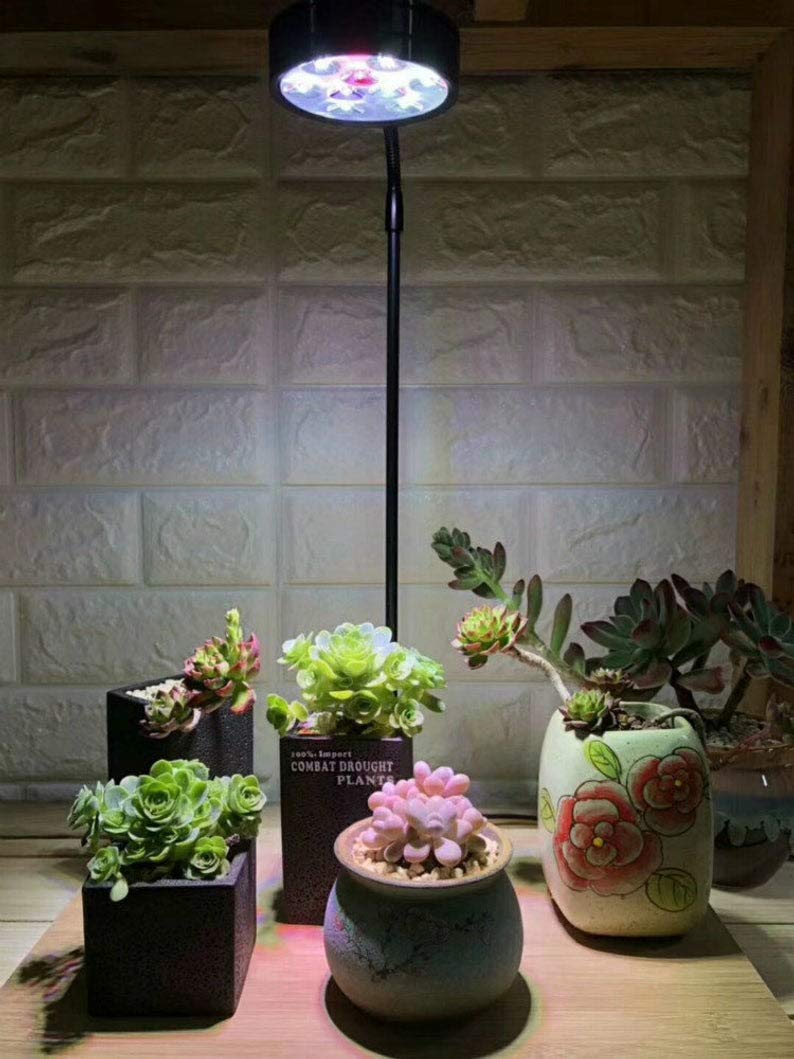 Full Spectrum LED Light with Bamboo Board 5W T38863