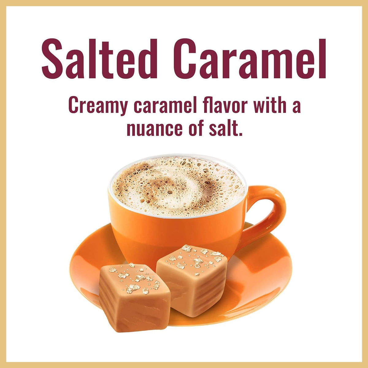 Salted Caramel Instant Cappuccino 14 oz Pack of 6 U592035