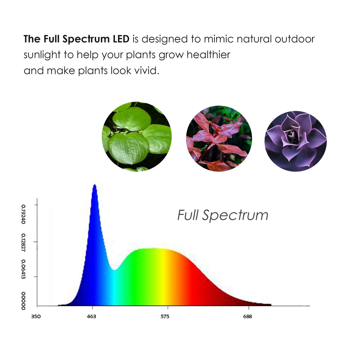 Full Spectrum LED Light with Bamboo Board 5W T38863