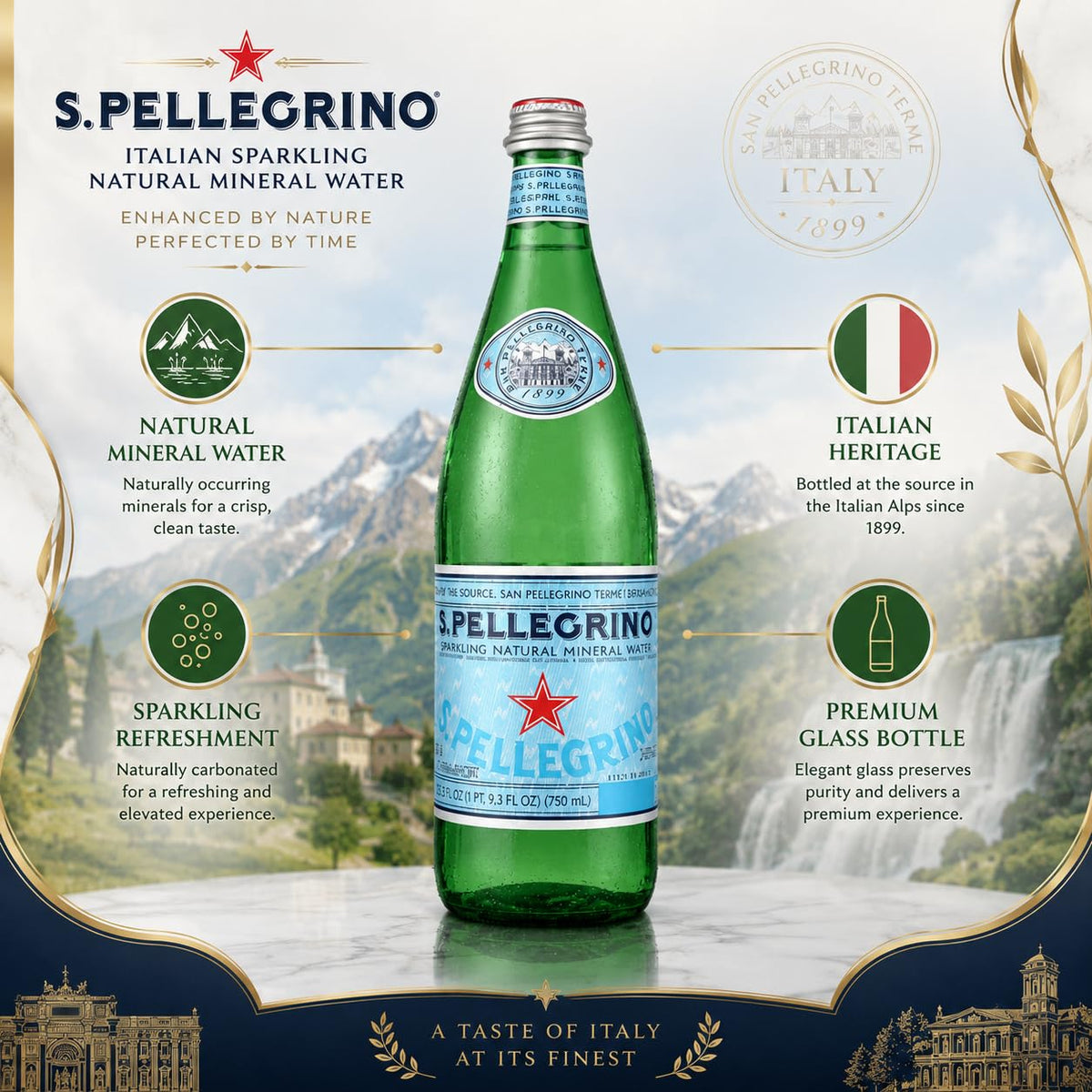 Sparkling Natural Mineral Water 750 mL Glass Bottles 5 Pack H65661