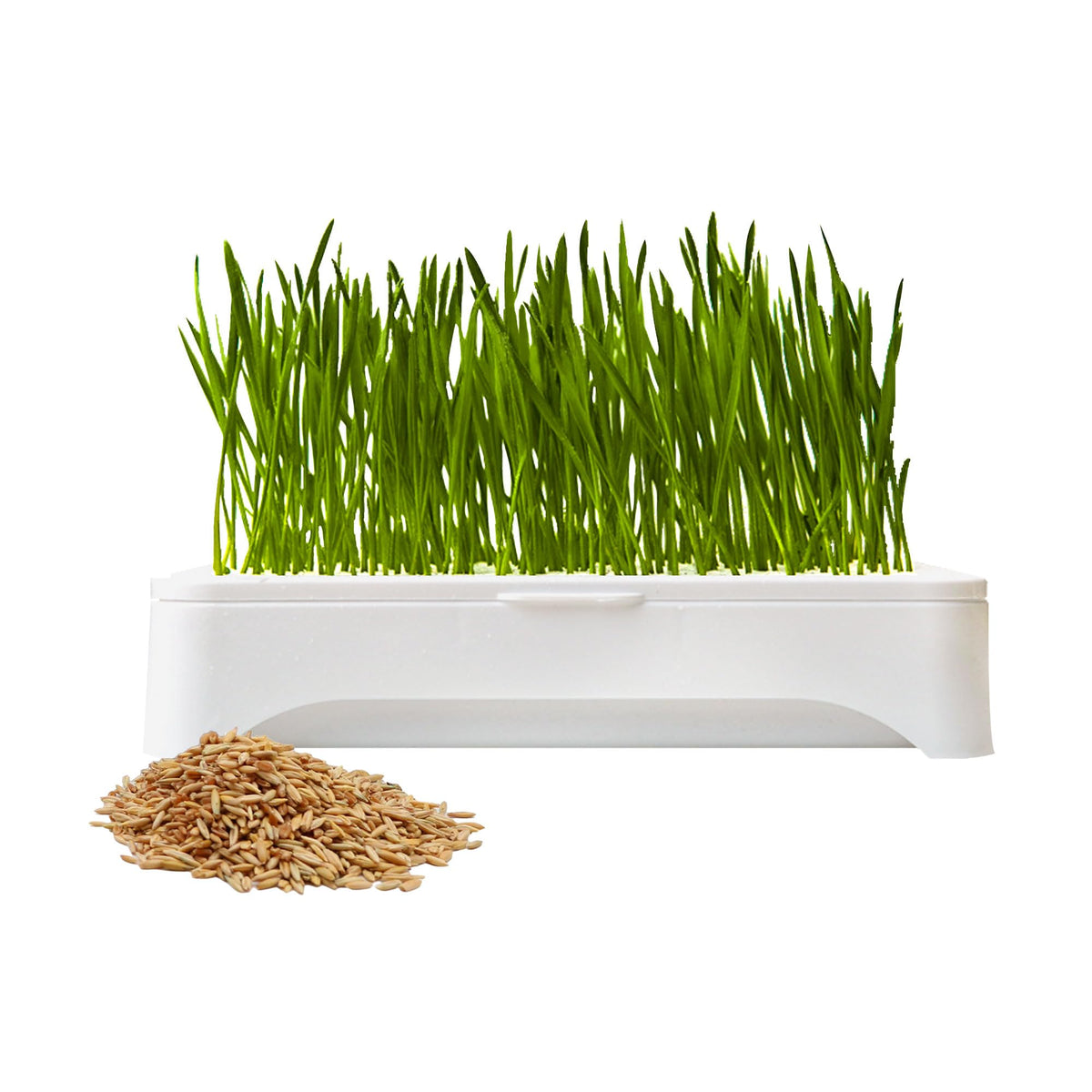 Cat Grass Kit with Organic Seeds Mix and Hydroponic Sprout Tray W719