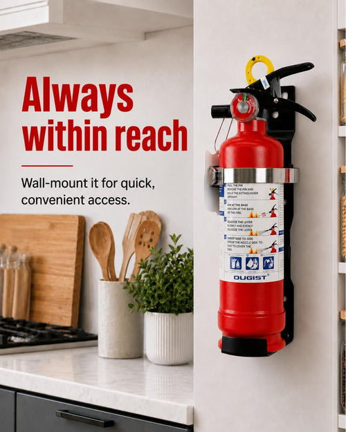 2.5 lb ABC Dry Chemical Fire Extinguisher with Wall Mount A455
