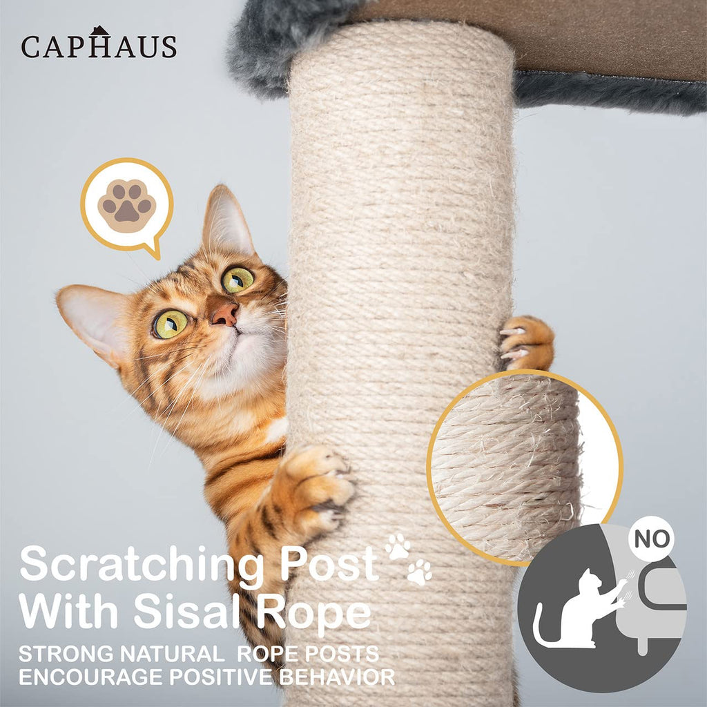 70-Inch Multi-Level Cat Tree with Scratching Posts H394147