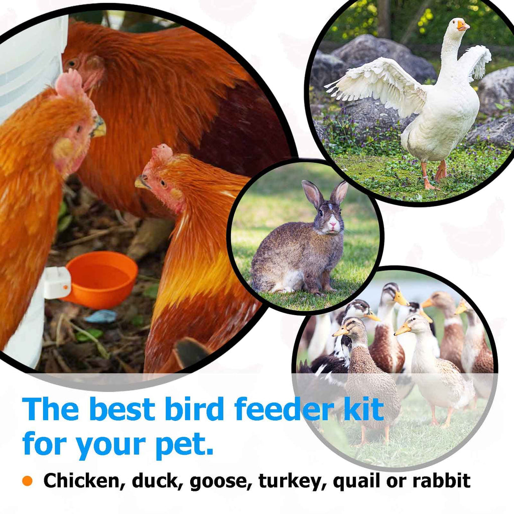Large Automatic Chicken Waterer Cups with Inserts 5 Pack H239971