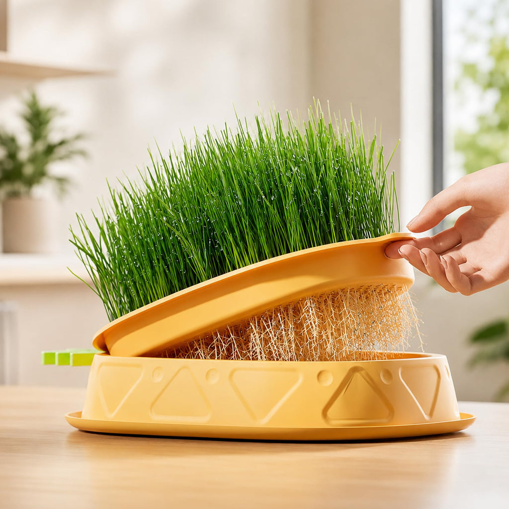 2 Pack Hydroponic Cat Grass Planter L924343