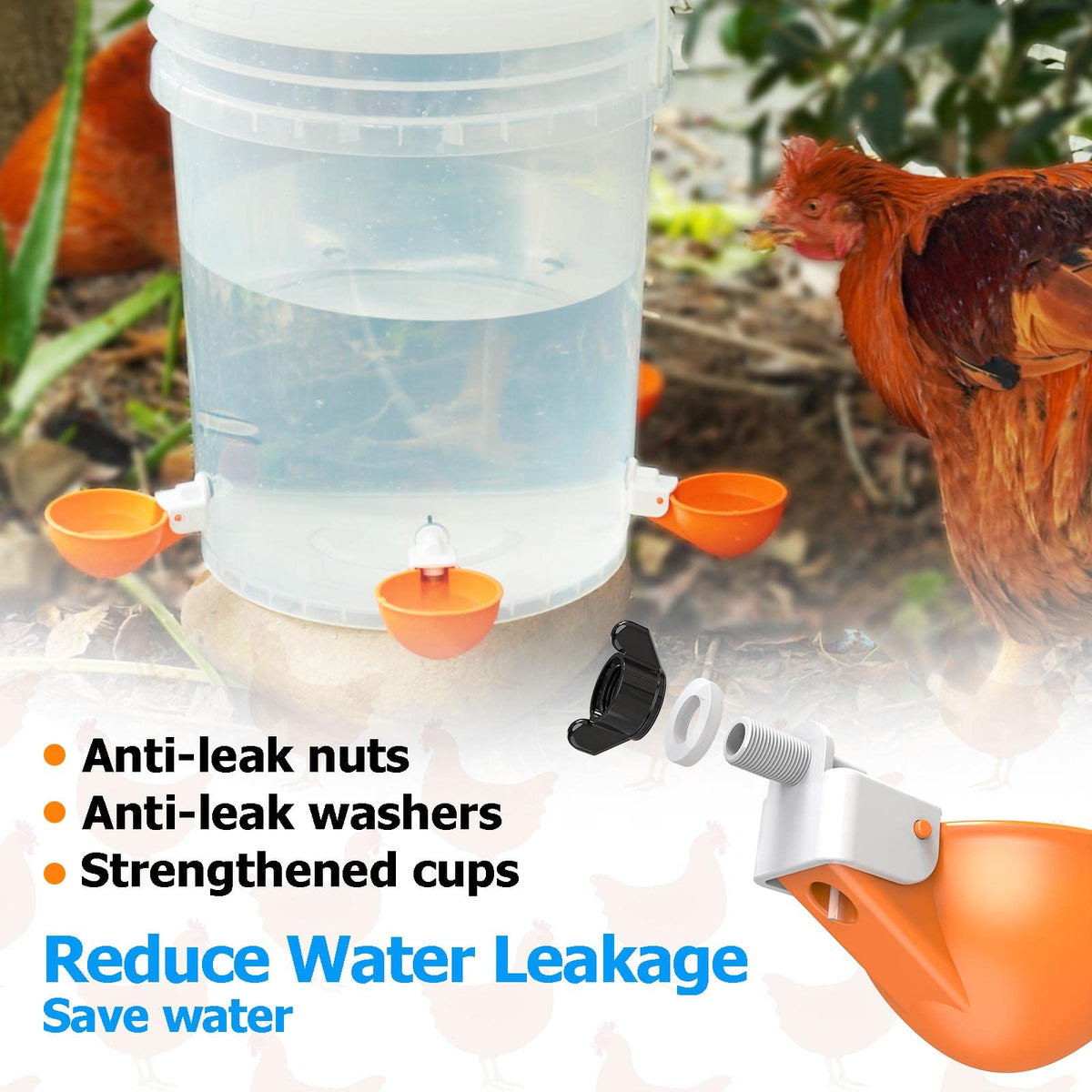 Large Automatic Chicken Waterer Cups with Inserts 5 Pack H239971