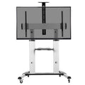 Adjustable Rolling Mobile TV Stand W781