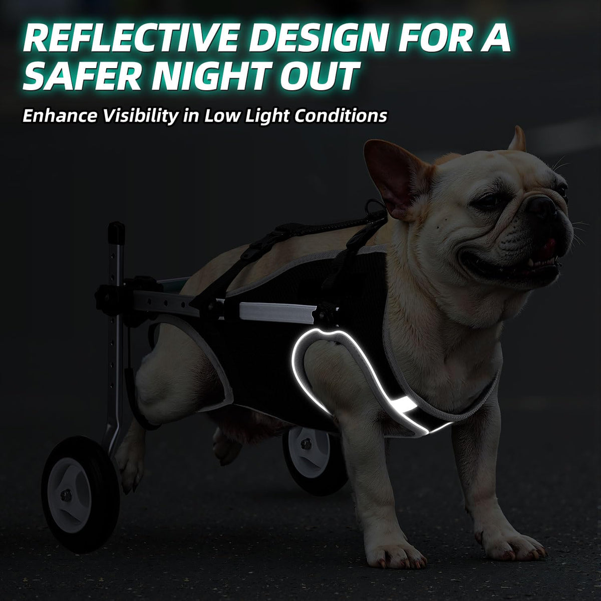 Dog Wheelchair for Back Legs L205858