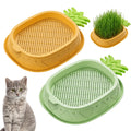 2 Pack Hydroponic Cat Grass Planter L924343