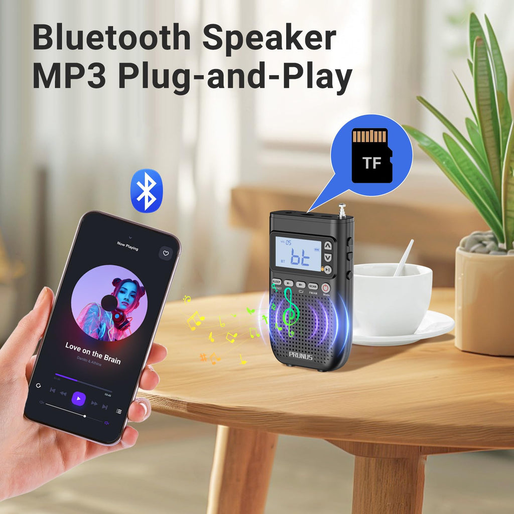 Portable AM FM Radio K816598