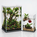 2 Pack Rimless Glass Aquarium Set W956