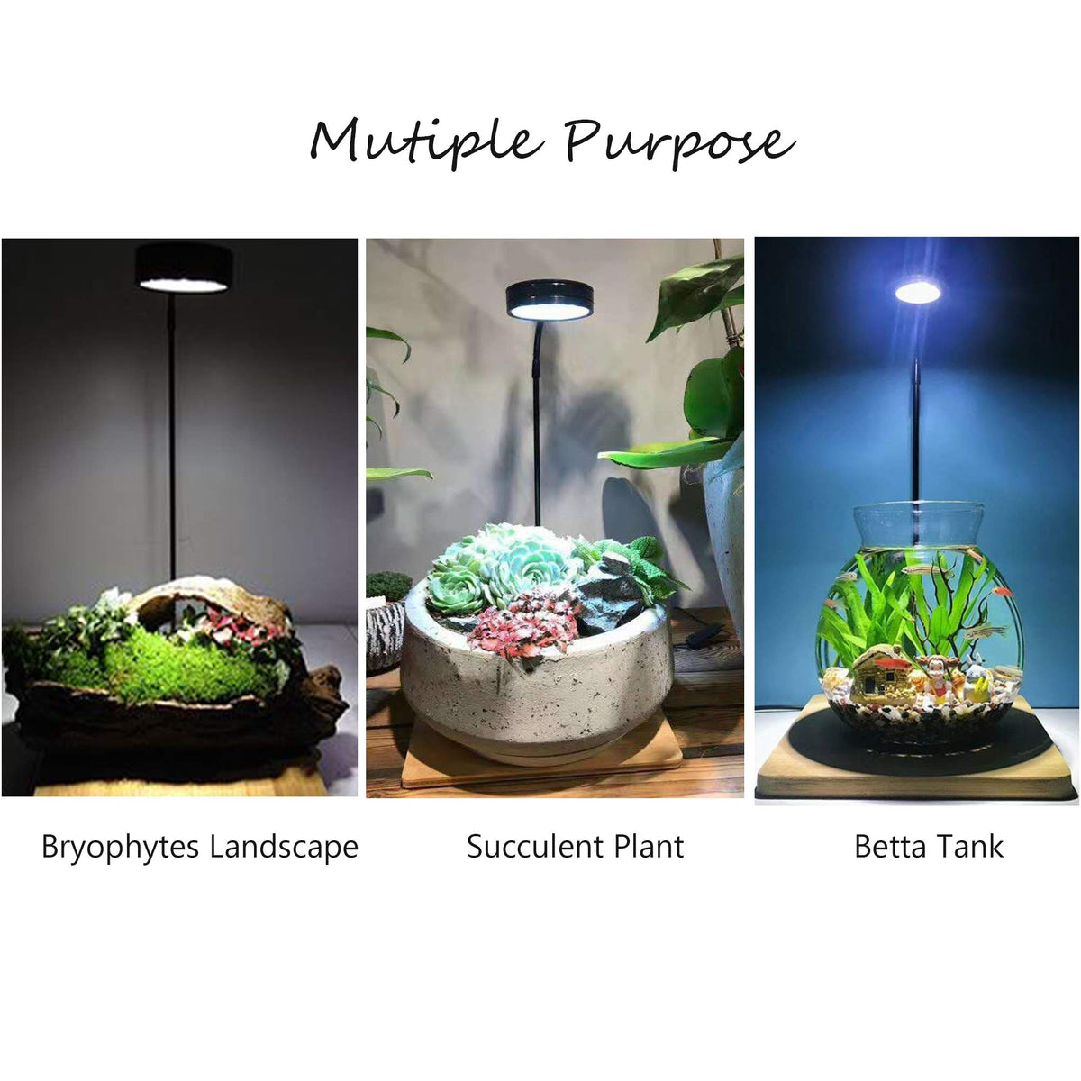 Full Spectrum LED Light with Bamboo Board 5W T38863