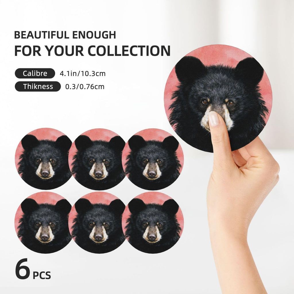 Ceramic Coasters with Holder Set of 6 W54189
