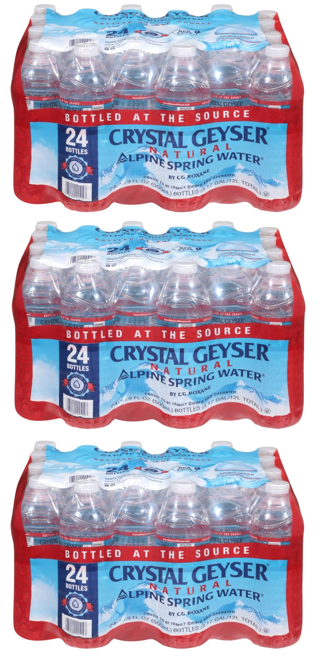 Alpine Spring Water 16.9 oz Bottle 72 Bottles H722