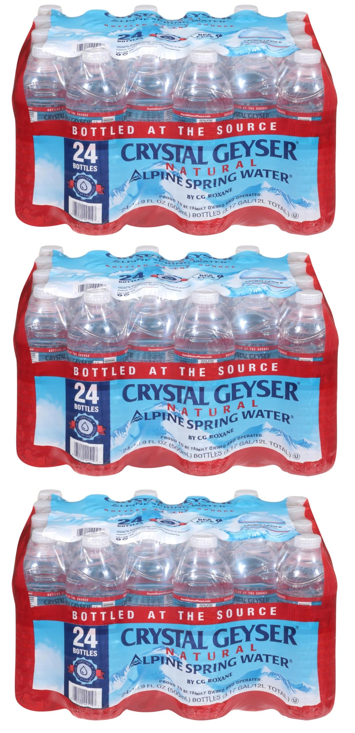 Alpine Spring Water 16.9 oz Bottle 72 Bottles H722