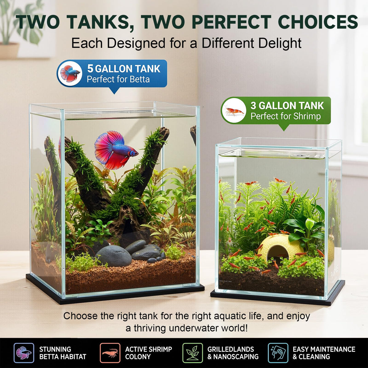 2 Pack Rimless Glass Aquarium Set W956