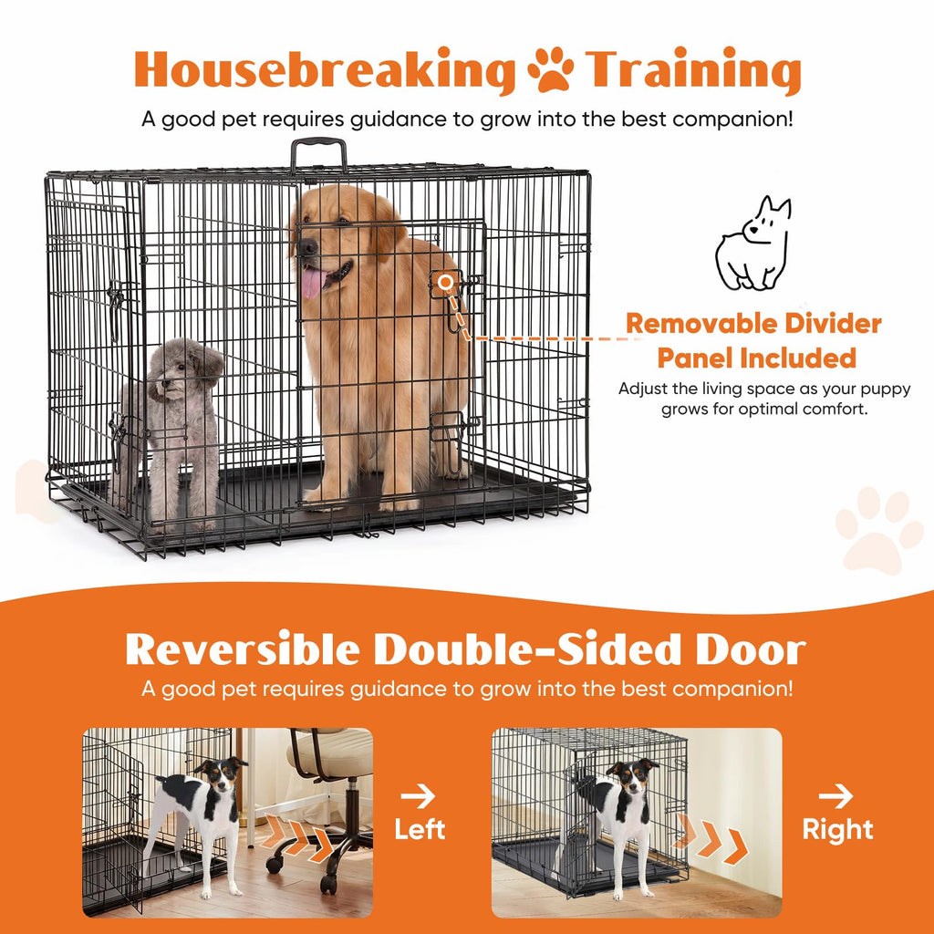 36 Inch Foldable Dog Crate T1832