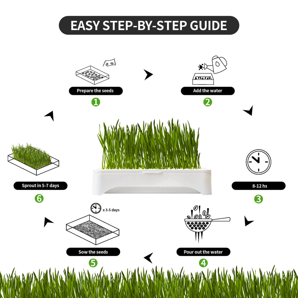 Cat Grass Kit with Organic Seeds Mix and Hydroponic Sprout Tray W719