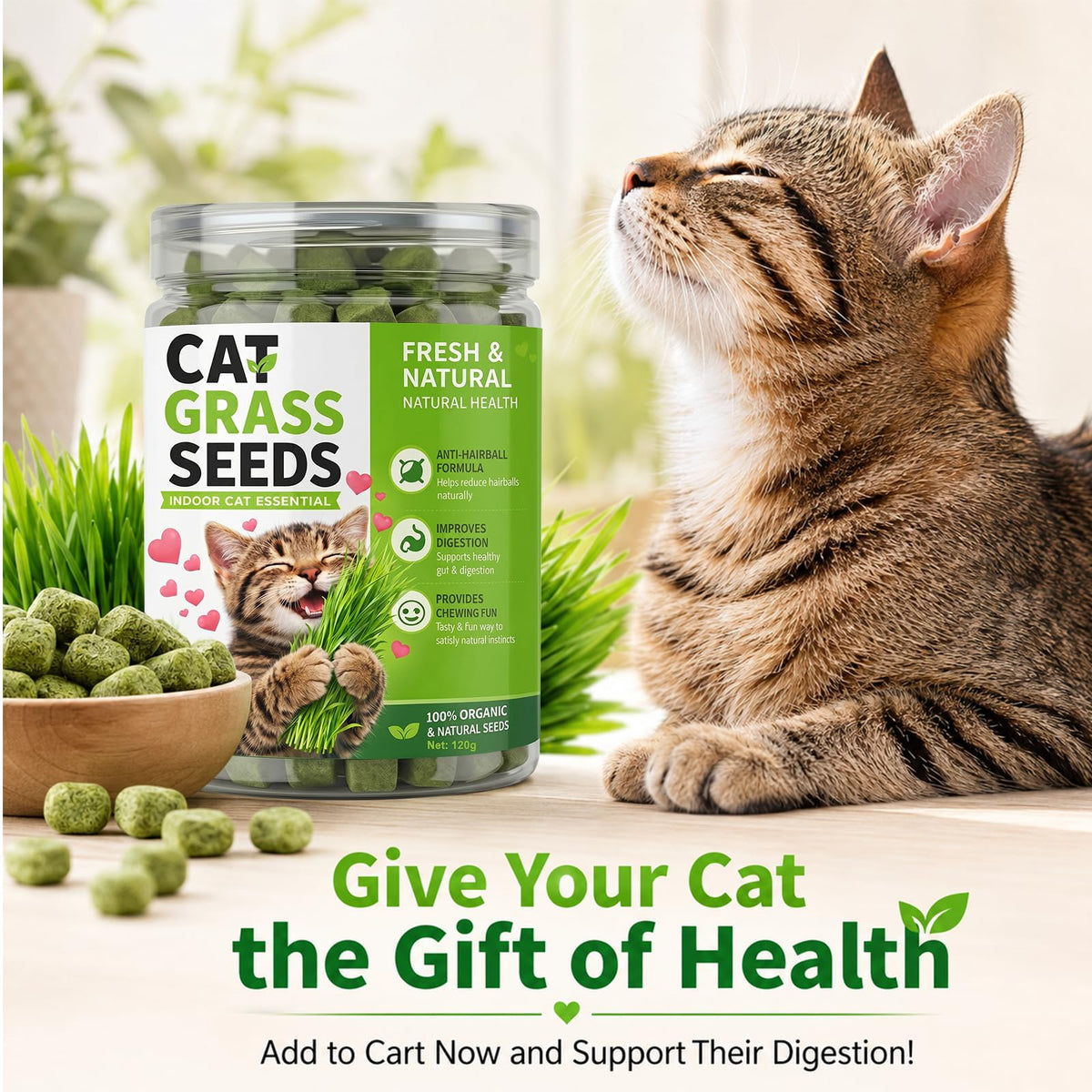 Cat Grass for Indoor Cats M101051