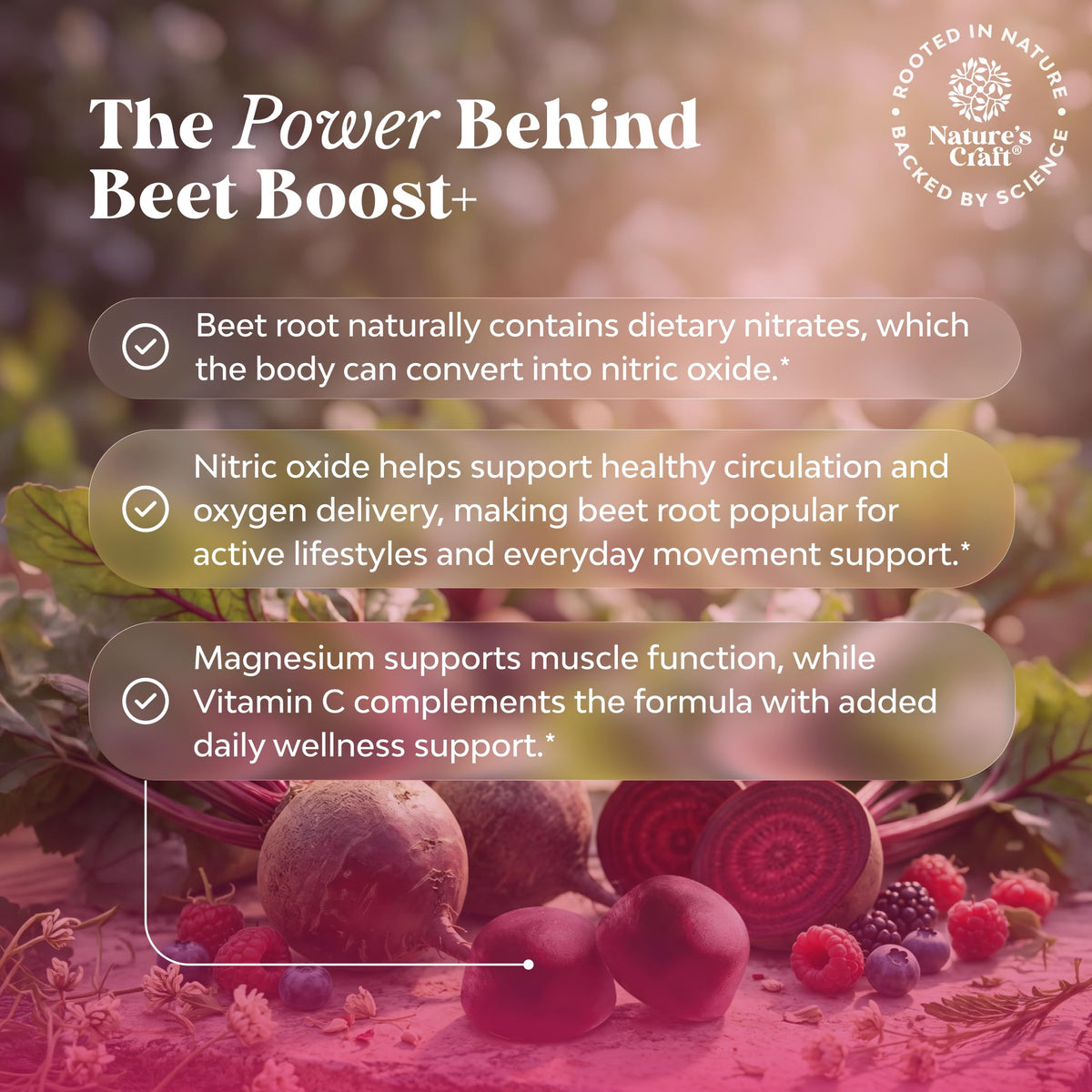 Beet Root Gummies with Vitamin C 60 Ct X908040