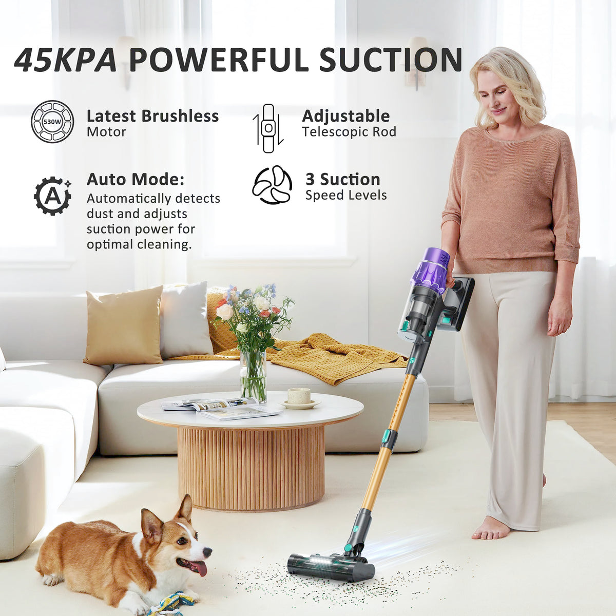 Cordless Stick Vacuum Cleaner P984
