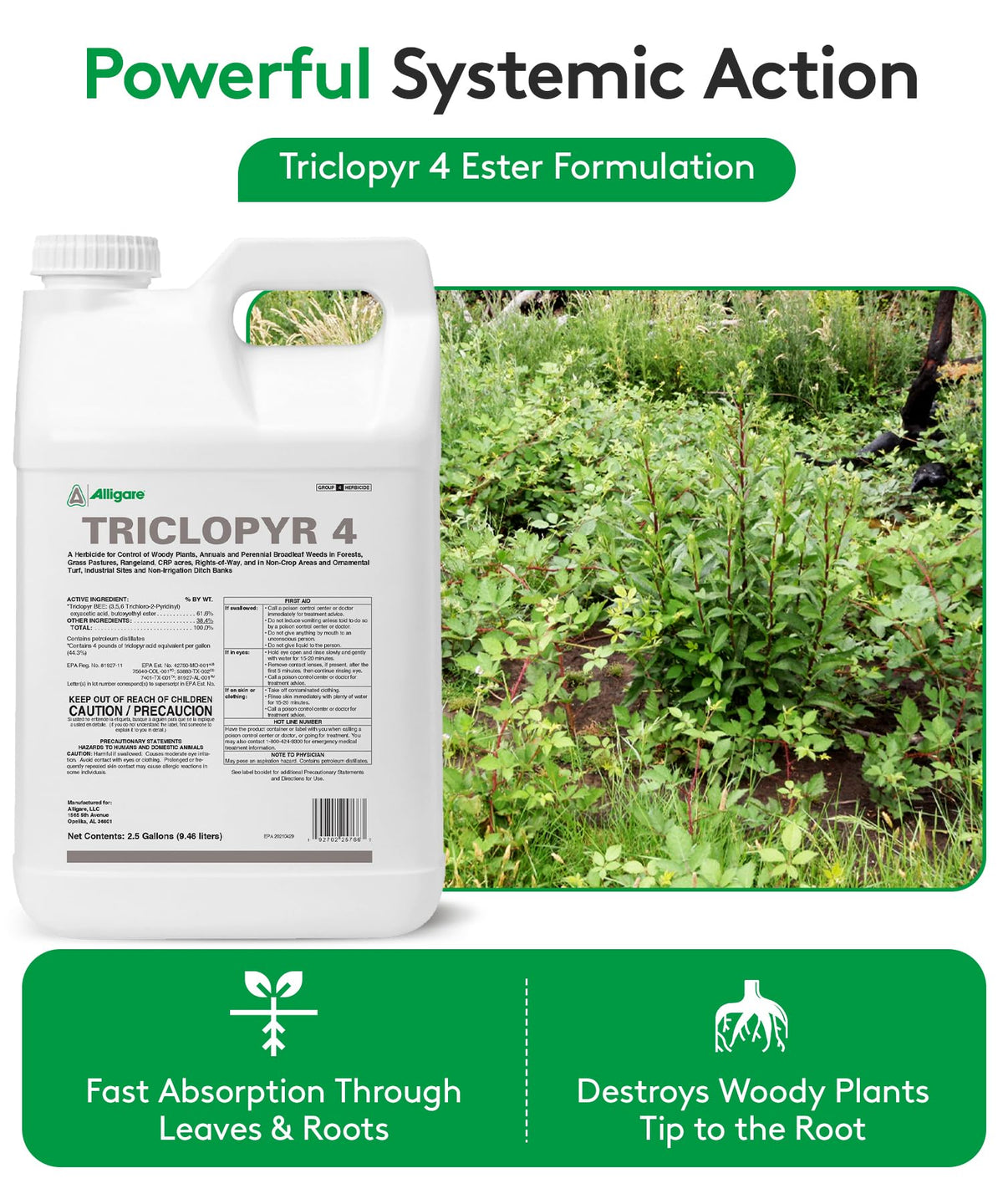 Triclopyr 4 Herbicide 2.5 Gallon C491351
