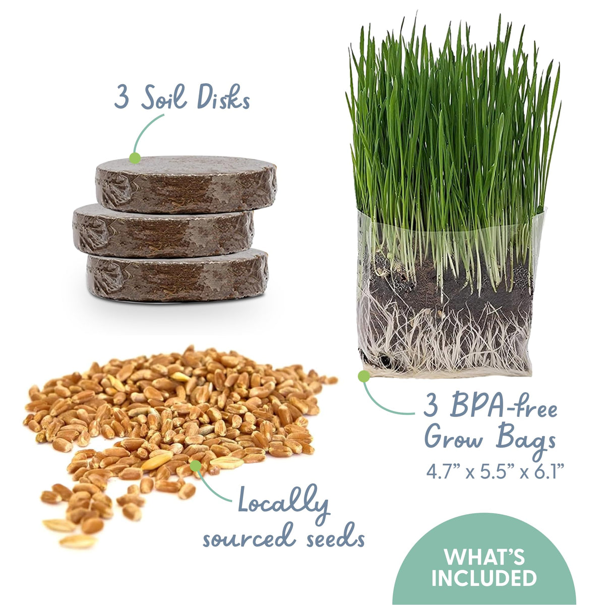 Organic Cat Grass Grow Bag Kit 3 Pack H587042