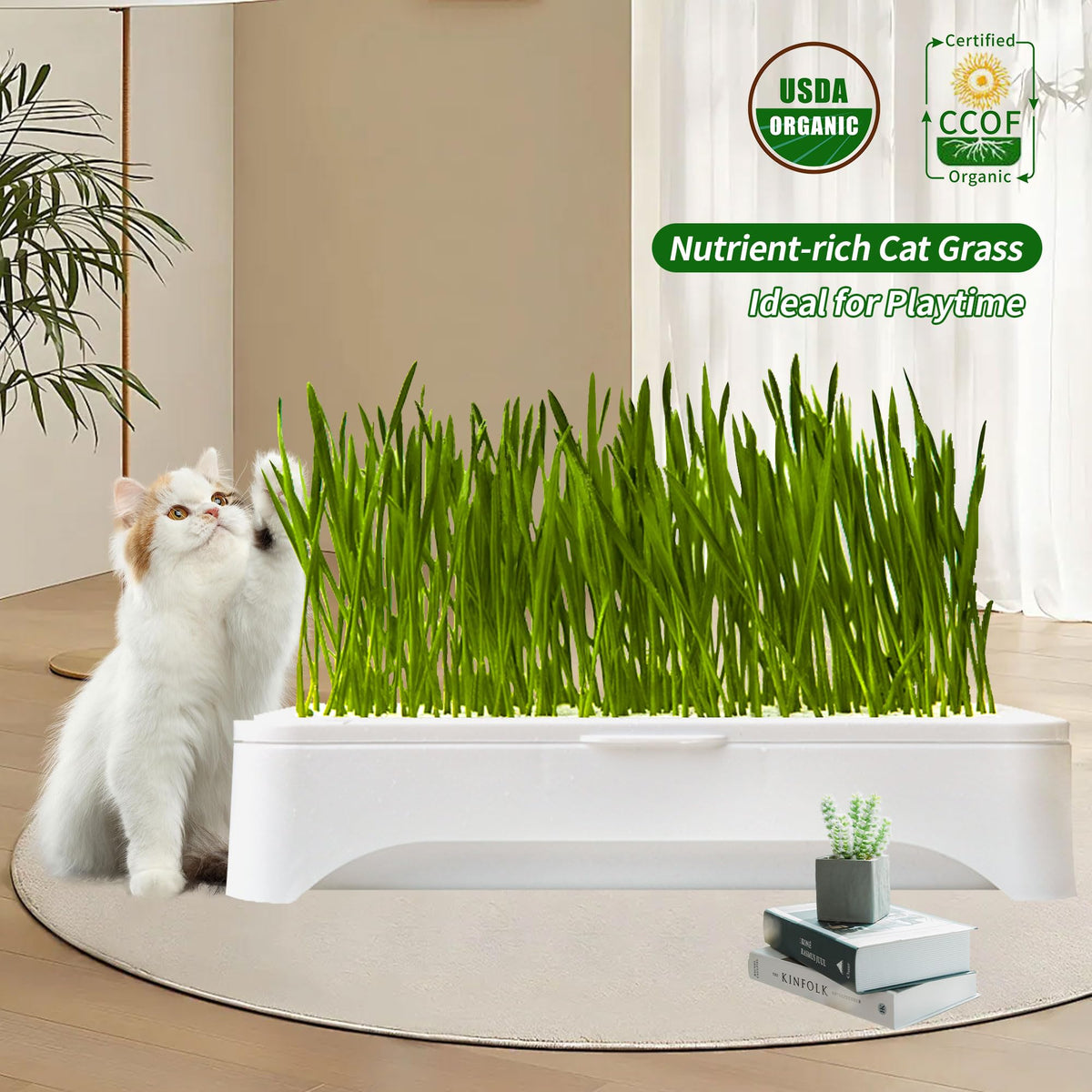 Cat Grass Kit with Organic Seeds Mix and Hydroponic Sprout Tray W719