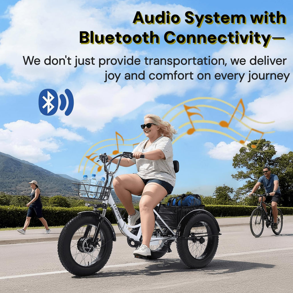 20" Fat Tire Folding Electric Tricycle 750W 48V X639