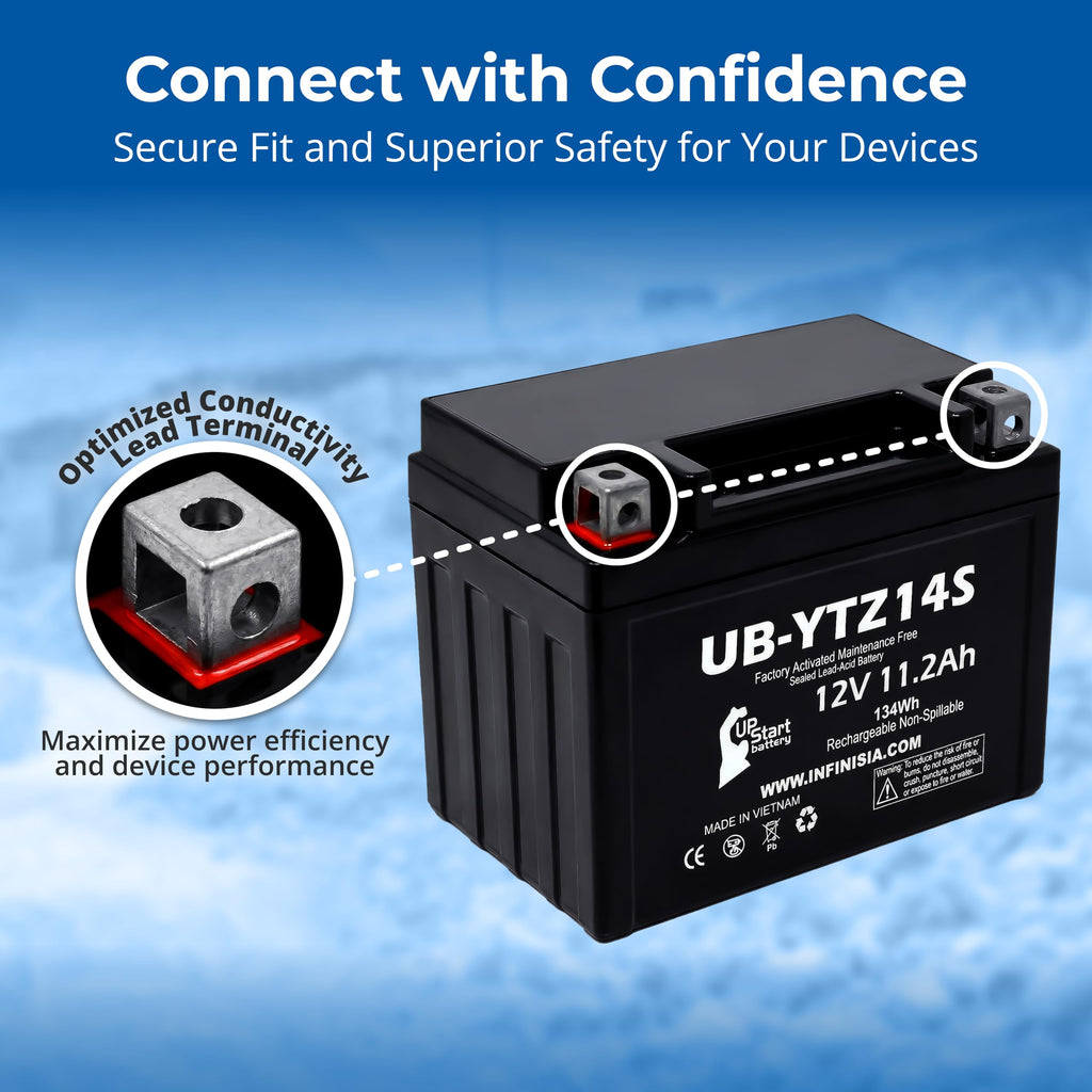 12V 11.2Ah Battery F195528