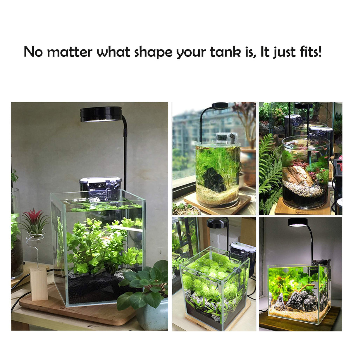 Full Spectrum LED Light with Bamboo Board 5W T38863