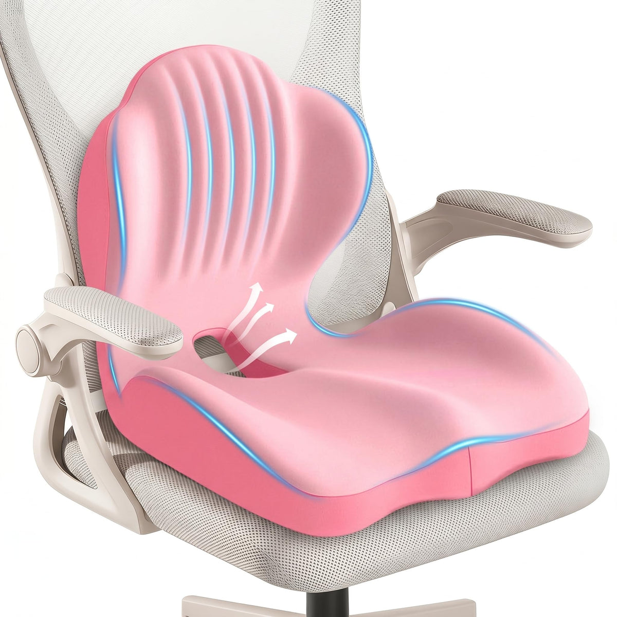 Ergonomic Lumbar & Seat Support Cushion B84889
