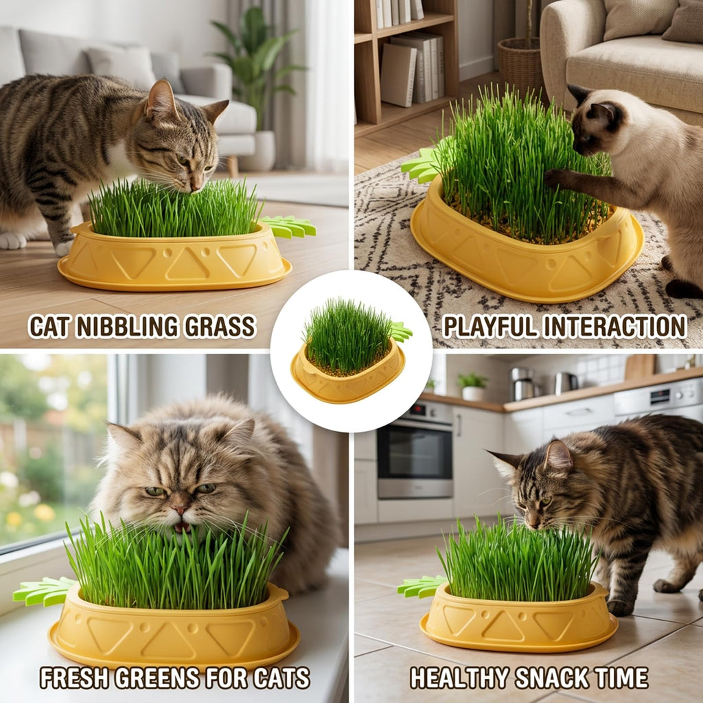 2 Pack Hydroponic Cat Grass Planter L924343