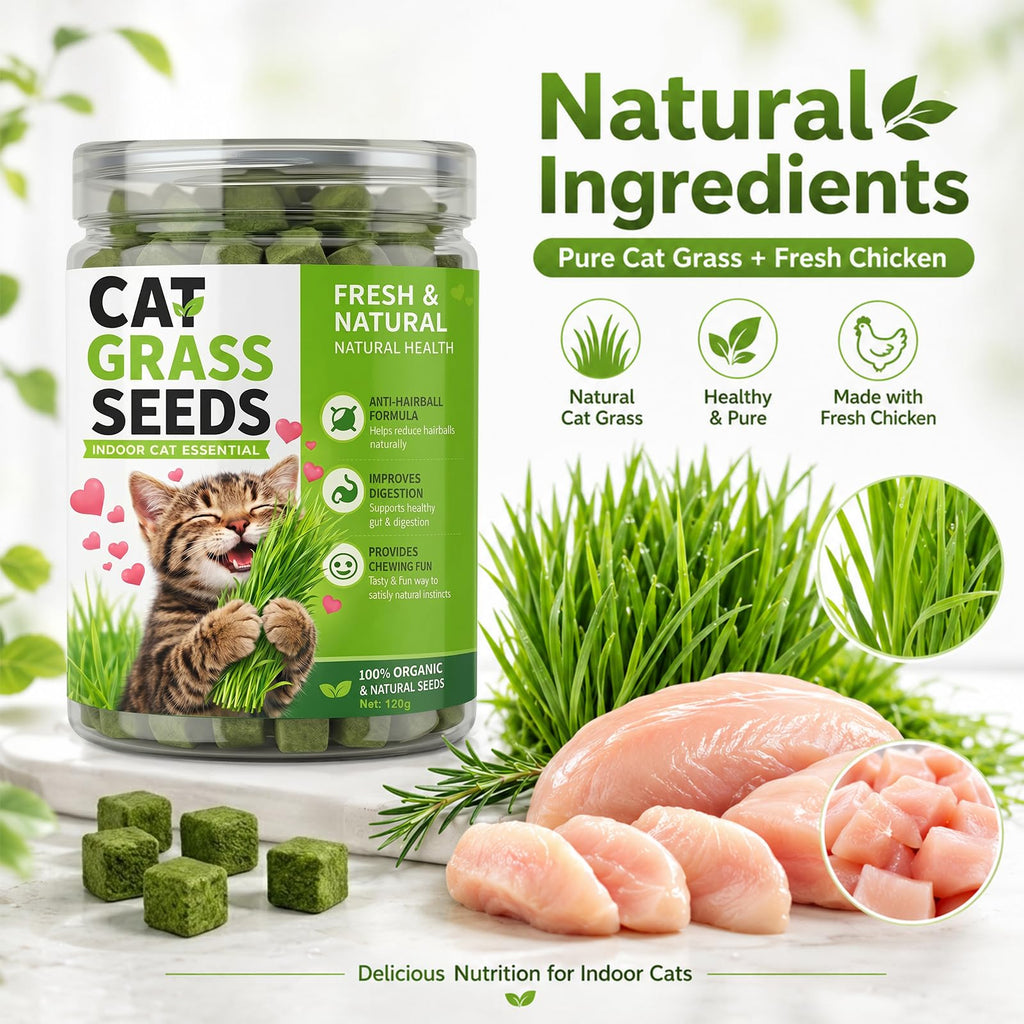 Cat Grass for Indoor Cats M101051
