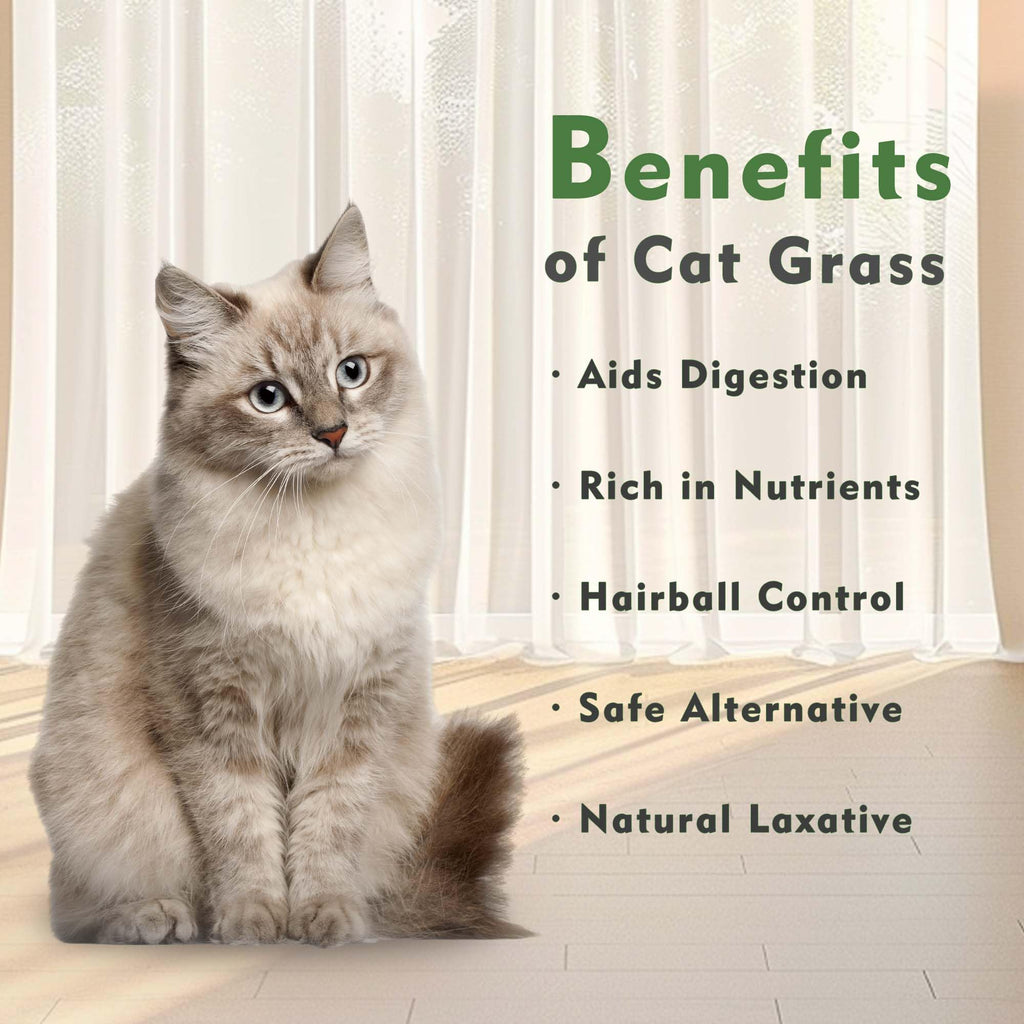 Cat Grass Kit with Organic Seeds Mix and Hydroponic Sprout Tray W719