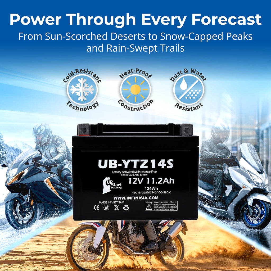 12V 11.2Ah Battery F195528