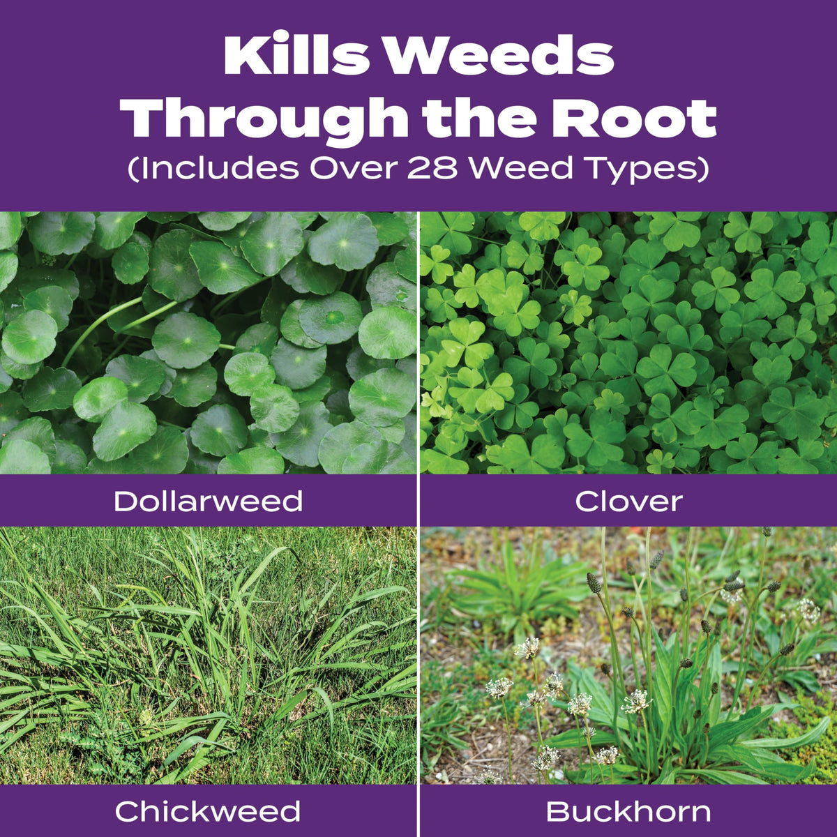 Southern Weed & Feed2, 17.24 lbs. V850
